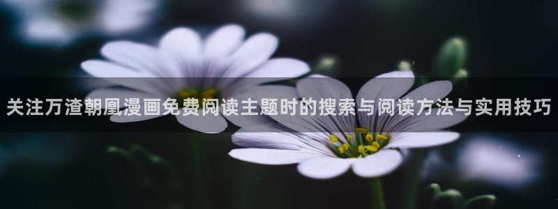 漫蛙漫画网页导航:关注万渣朝凰漫画免费阅读主题时的搜索与阅读方法与实用技巧
